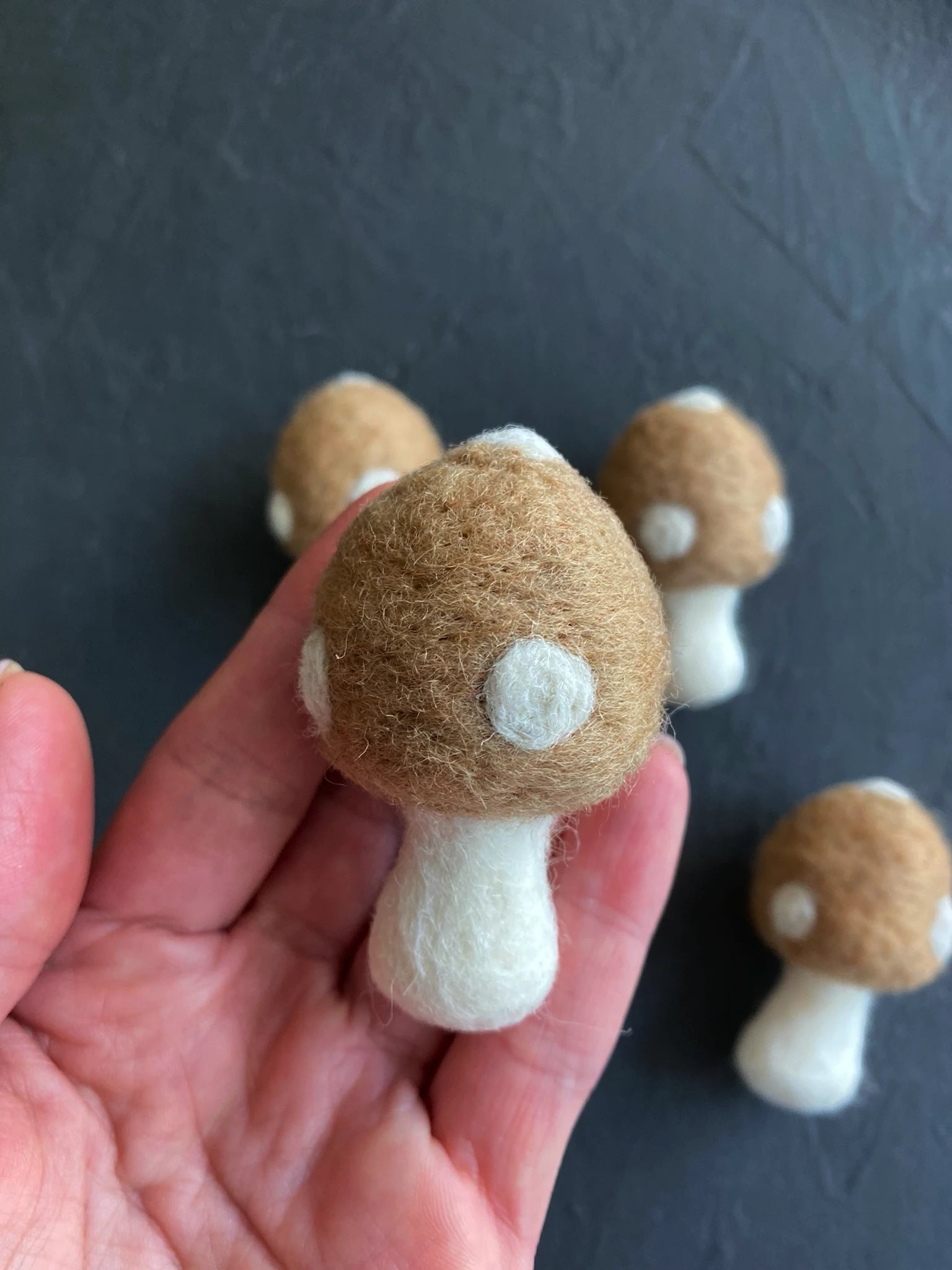 Colorful felt mushrooms thumbnail - 4