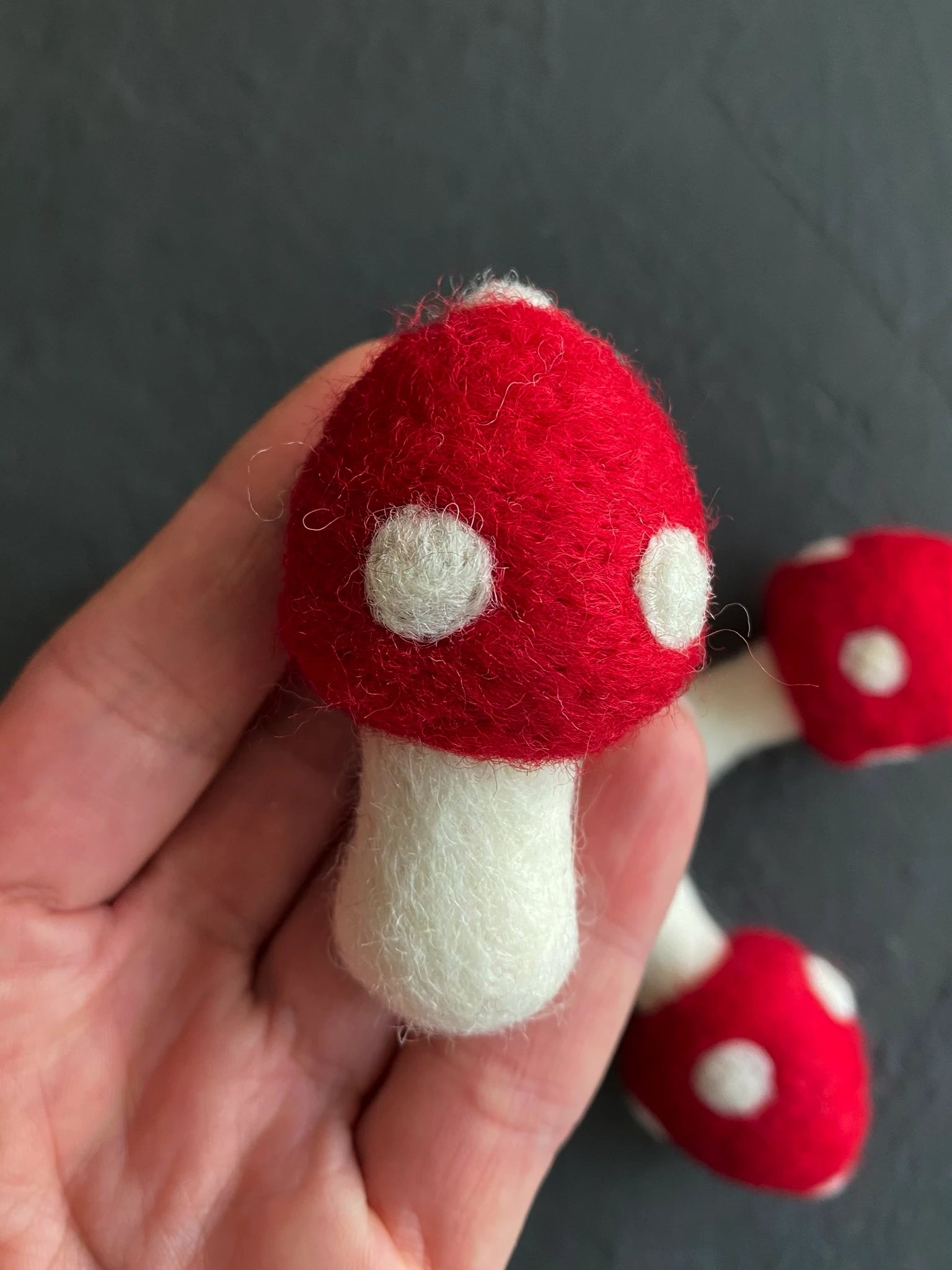Colorful felt mushrooms thumbnail - 9